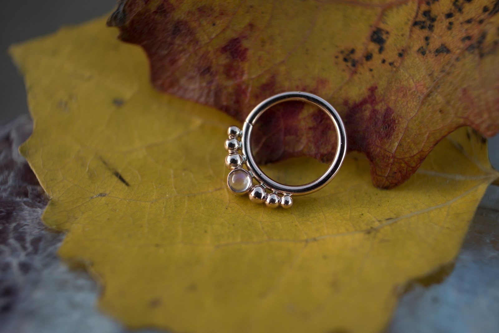 Gold Fox Piercing, piercing studio in Anchorage, AK