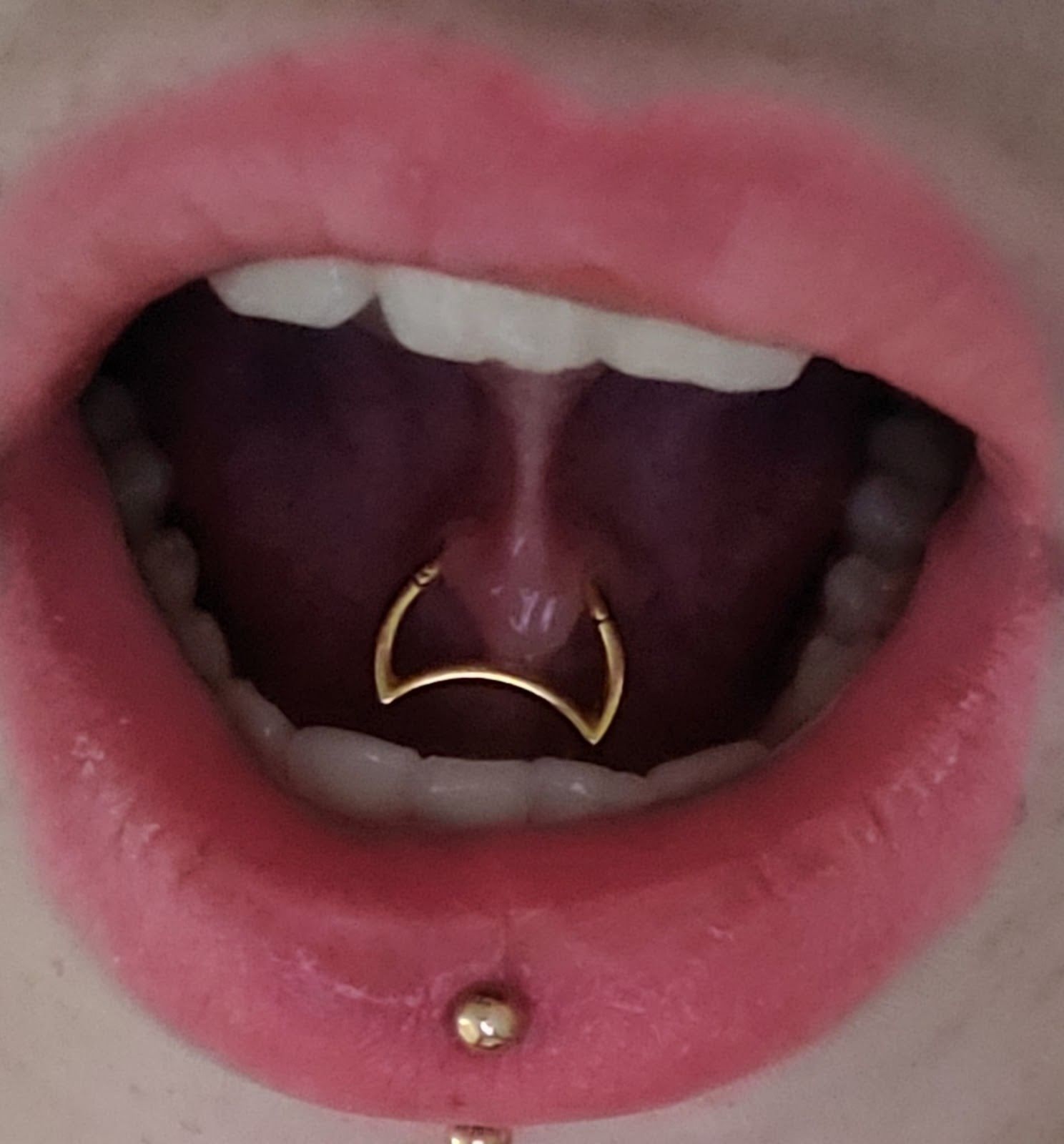 Almost Famous Body Piercing, piercing studio in Billings, MT