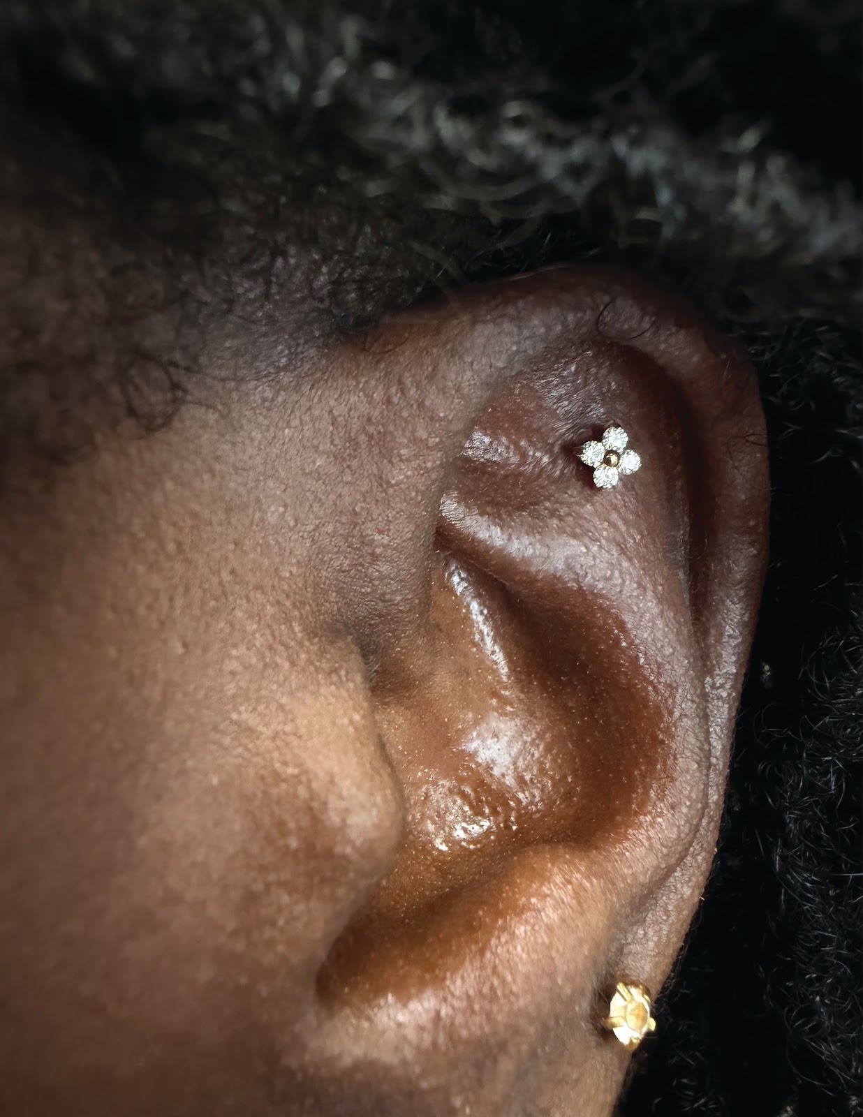 aura adornments boca, piercing studio in Boca Raton, FL