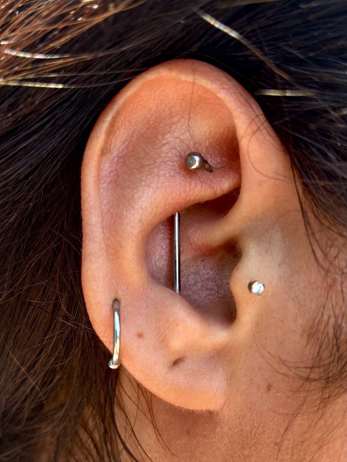 Black Sheep Body Piercings, piercing studio in San Diego, CA