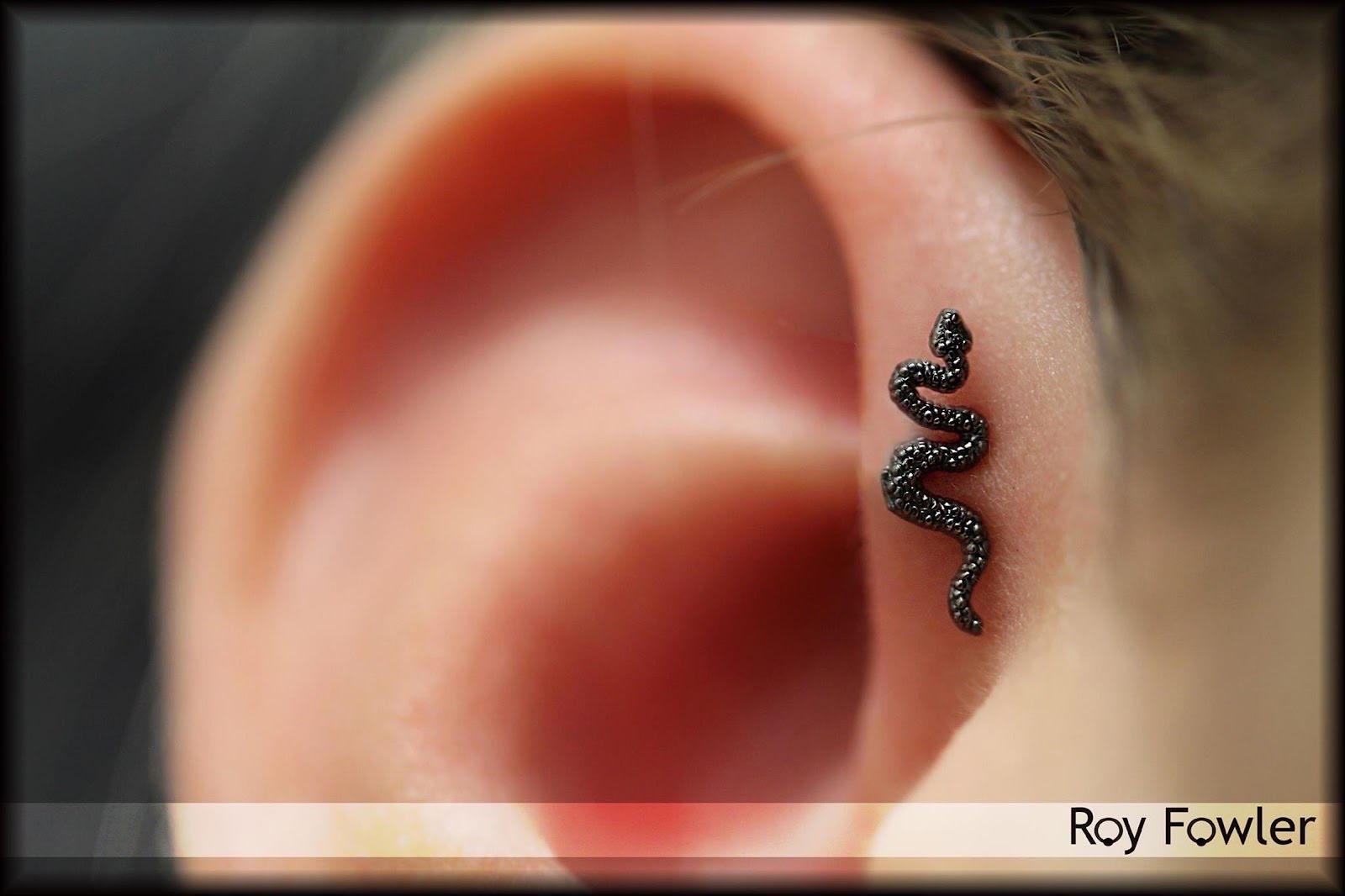 Studio Seven Piercing, piercing studio in Wilmington, NC