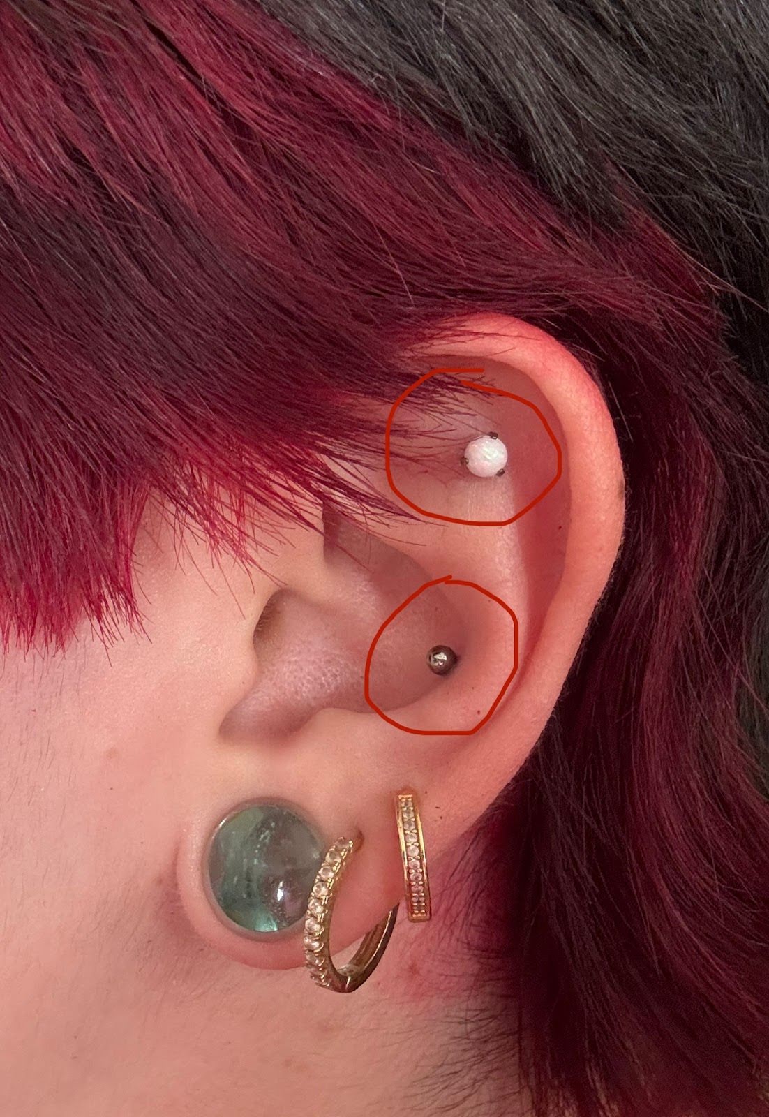 Timeless Piercings LLC, piercing studio in Kingsport, TN