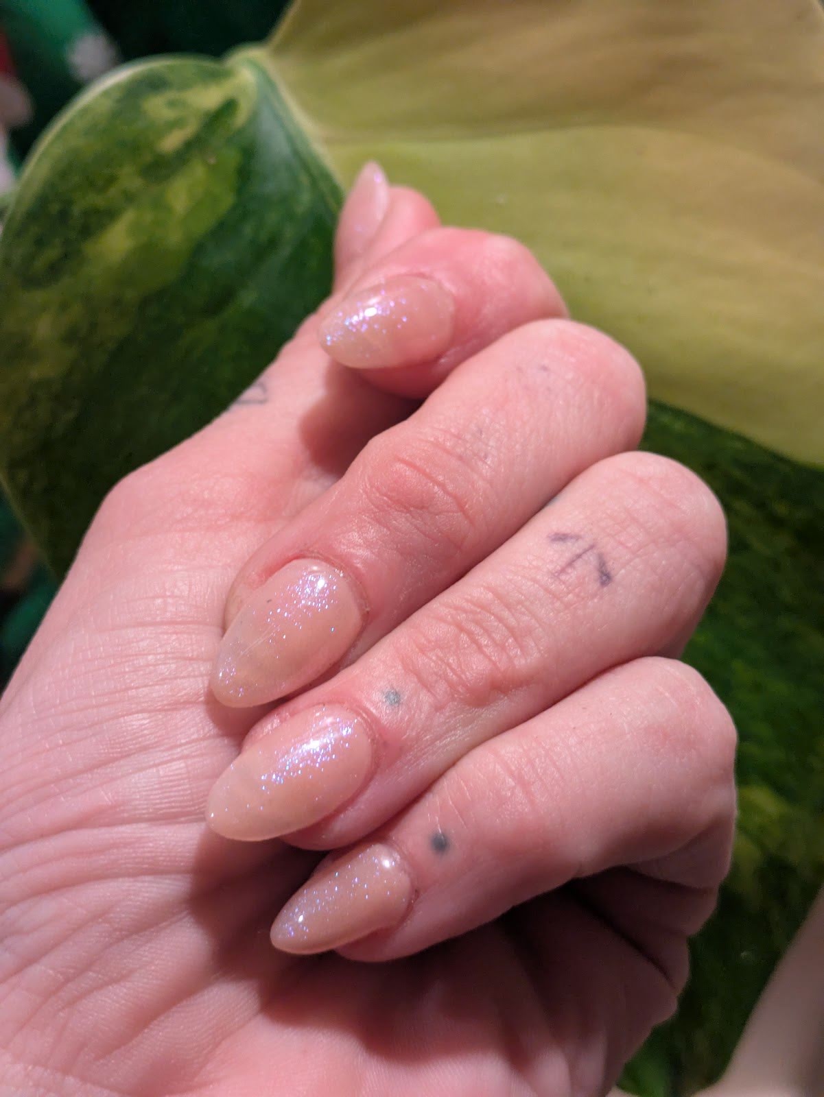 Beauty Concepts & Day Spa, piercing studio in Bluefield, WV