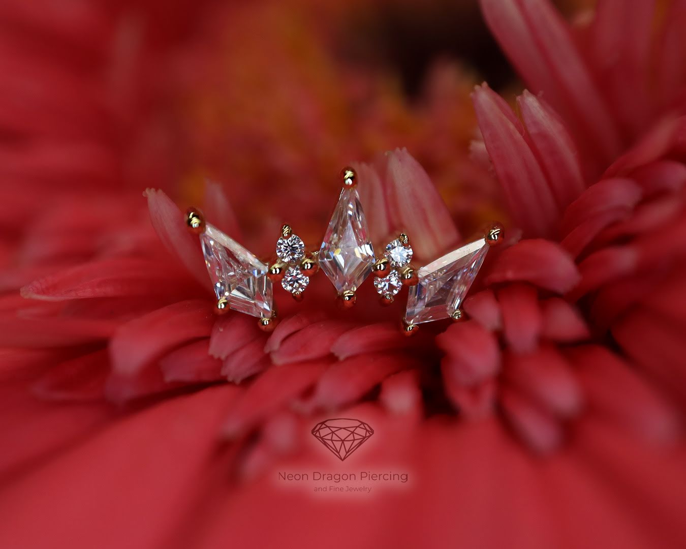 Neon Dragon Piercing & Fine Jewelry, piercing studio in Cedar Rapids, IA