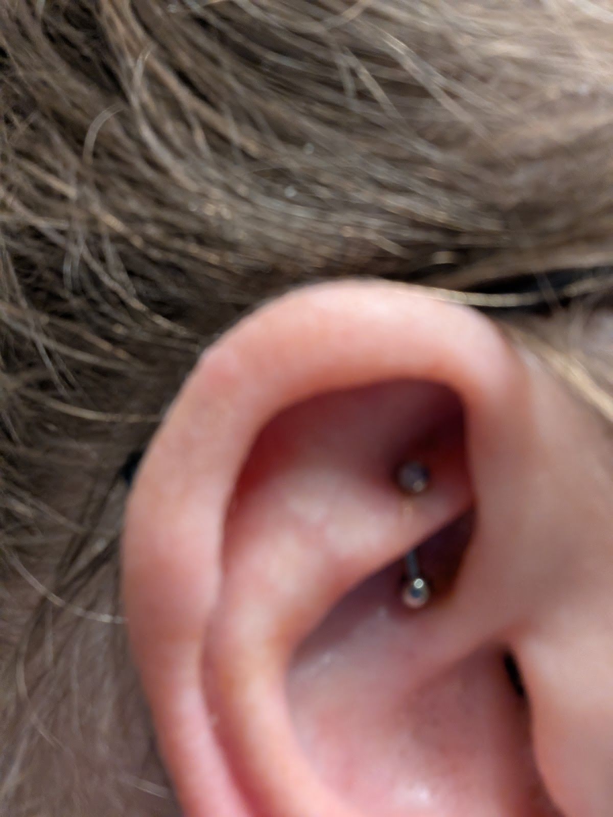 Olive Body Arts, piercing studio in Rochester, NY