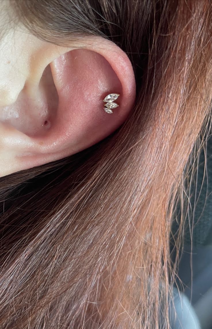 The Piercing Co., piercing studio in Chandler, AZ