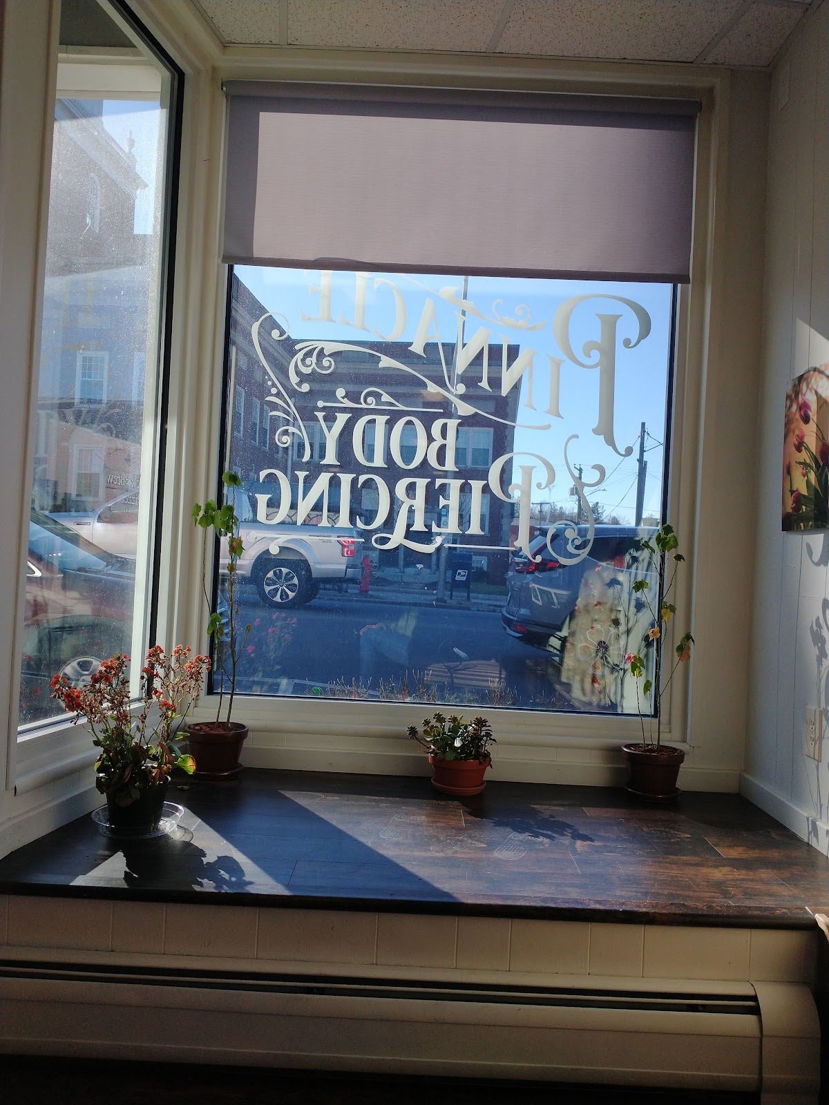 Pinnacle Body Piercing, piercing studio in Dover, NH
