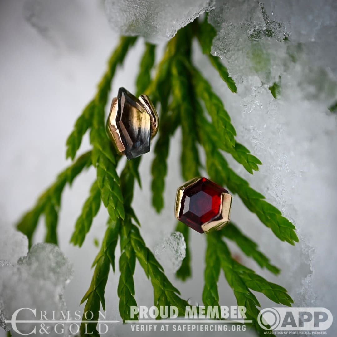 Crimson & Gold Piercing, piercing studio in Ferndale, MI