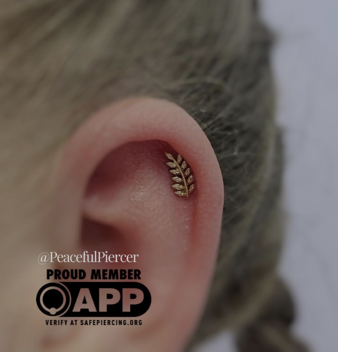 Peaceful Piercings and Fine Jewelry Boutique, piercing studio in Monroe, NC