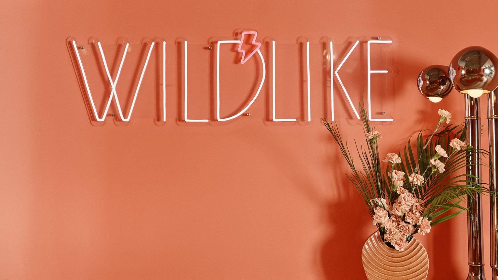Wildlike Dallas, piercing studio in Dallas, TX