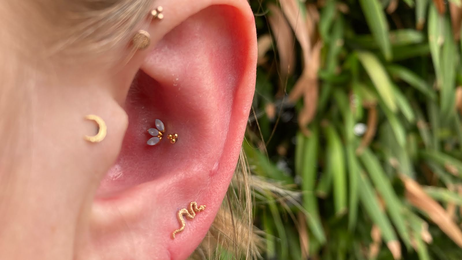 SLO Piercing - San Luis Obispo, piercing studio in San Luis Obispo, CA