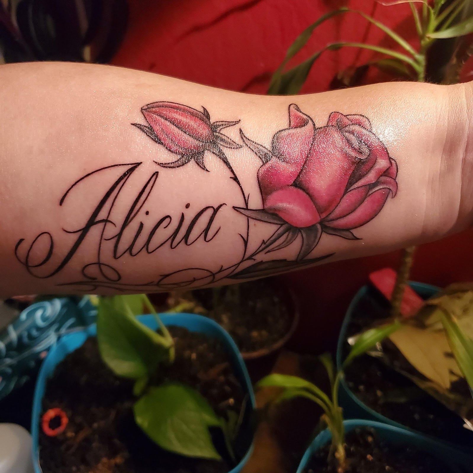 Studio 13 Tattooing & Piercing, piercing studio in Salinas, CA