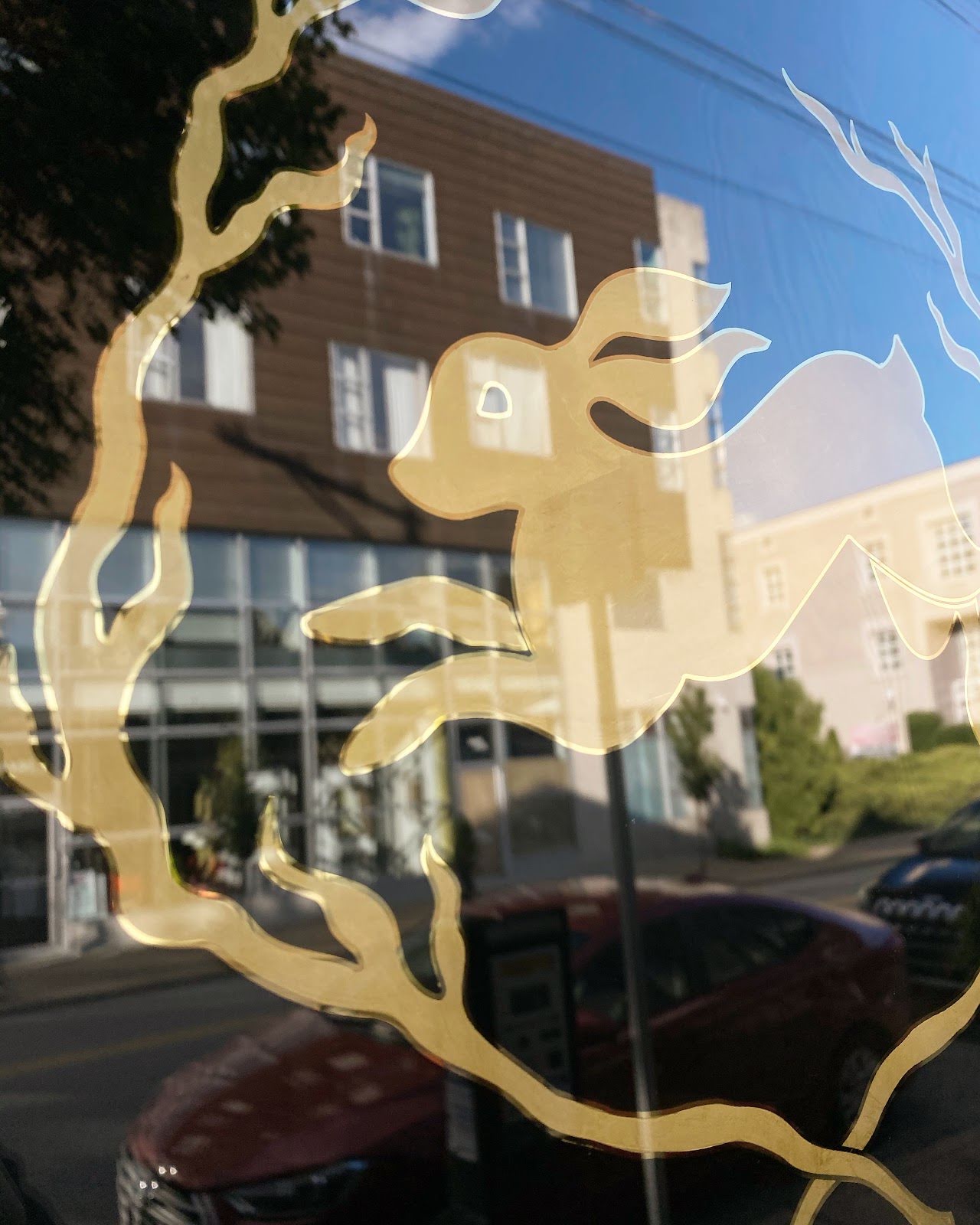 SIX16, piercing studio in Pittsburgh, PA
