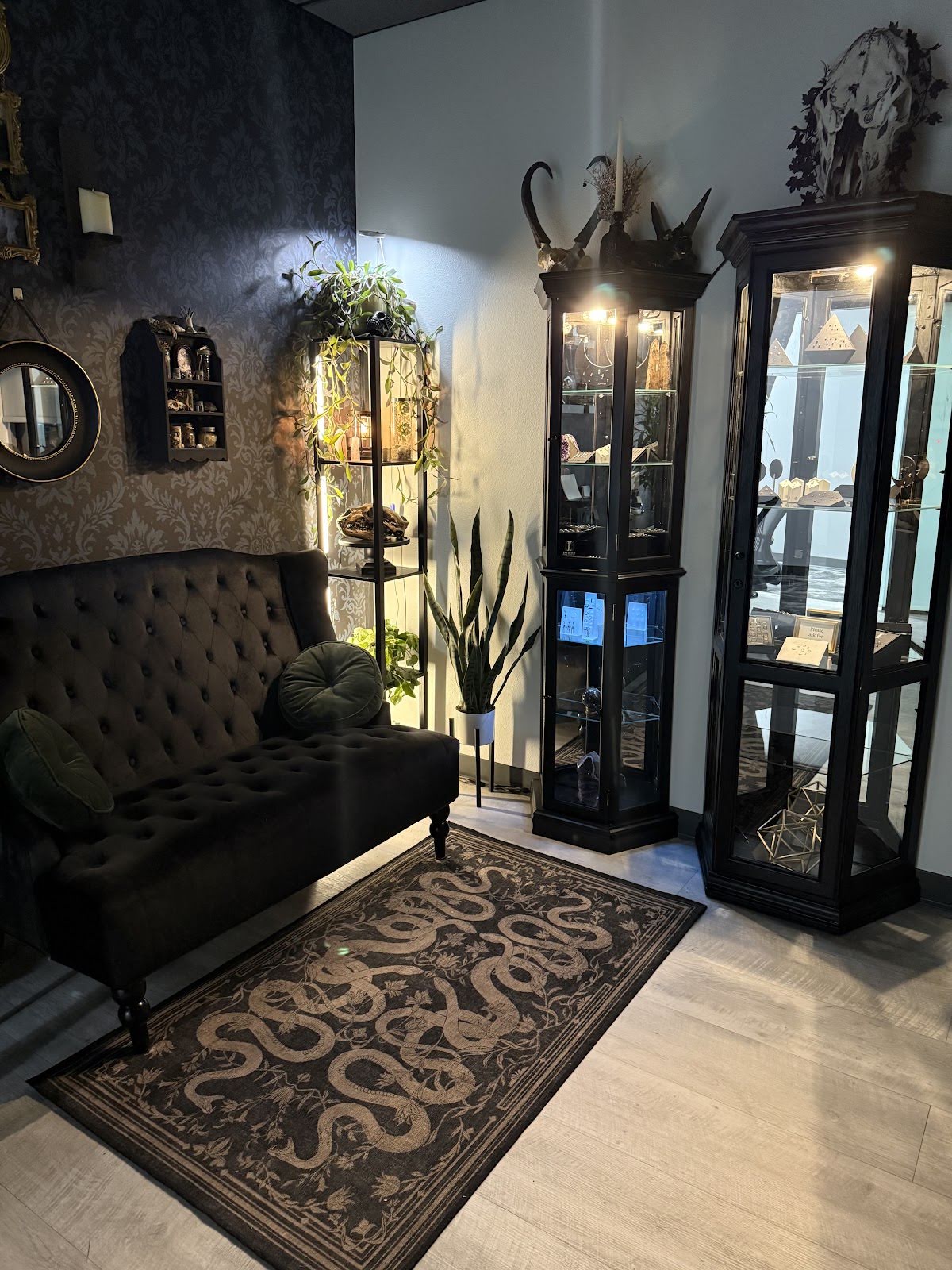 High Plains Adornment, piercing studio in Casper, WY