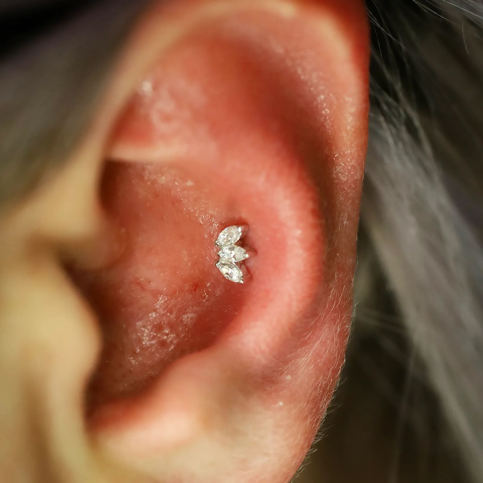 Powers Piercing Company, piercing studio in Richland, WA