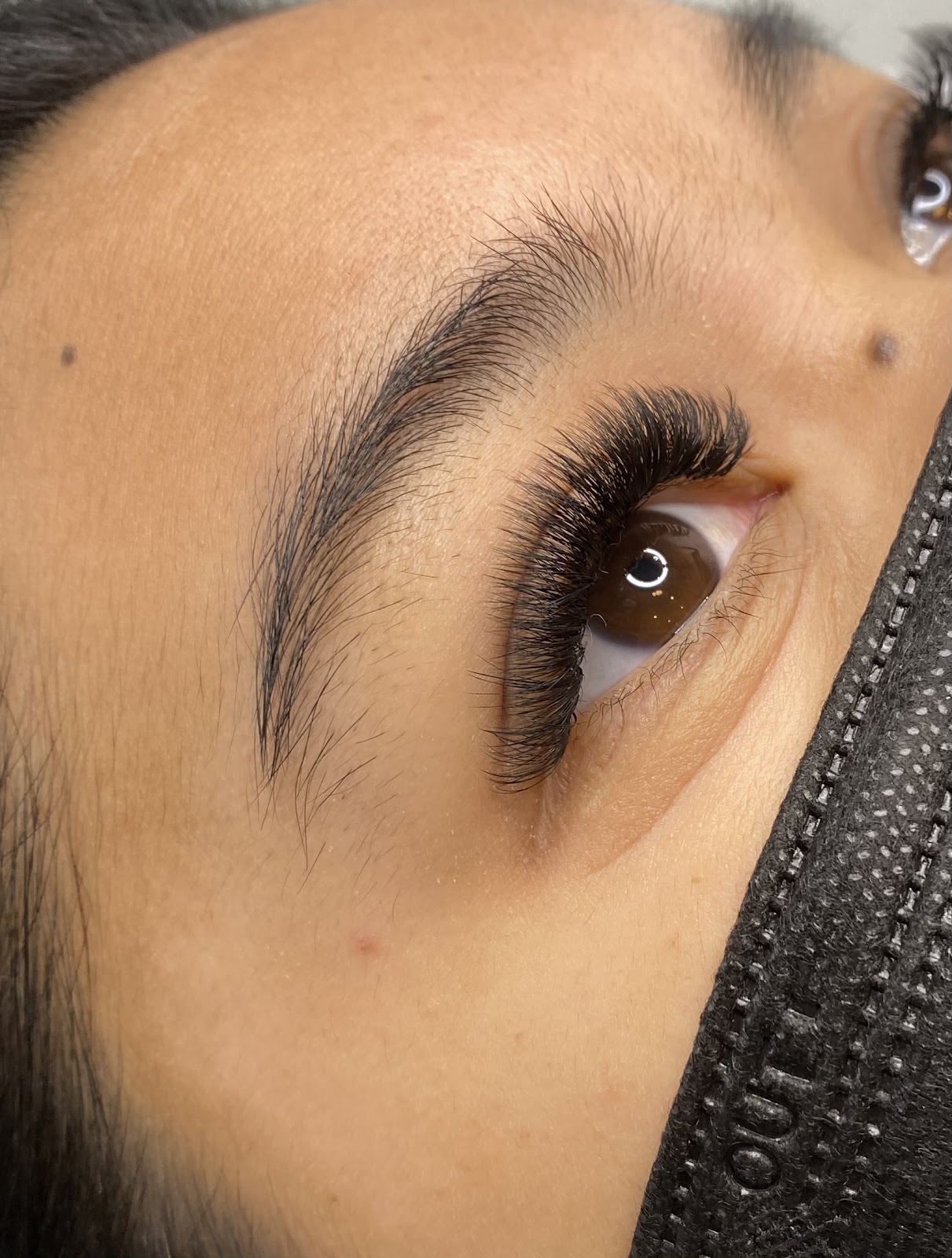 Lucid Aesthetix, piercing studio in Seattle, WA