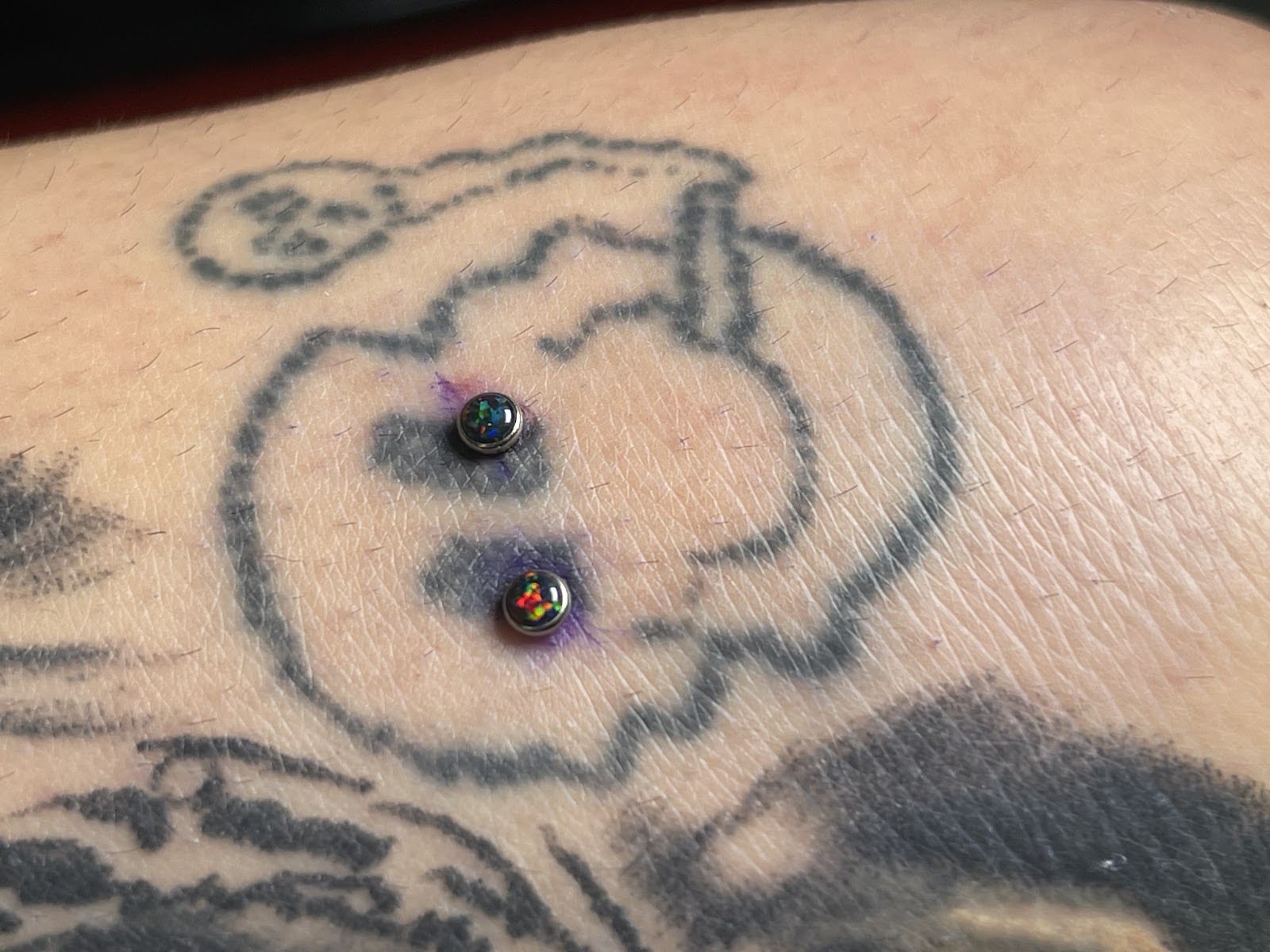 Golden Petal Piercings, piercing studio in East Greenville, PA
