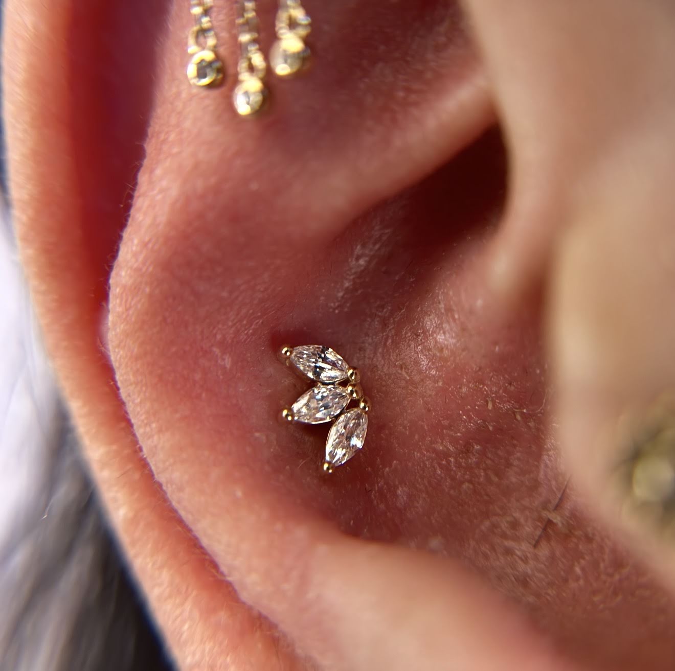 Black Moon Piercing Hillsborough, piercing studio in Hillsborough Township, NJ