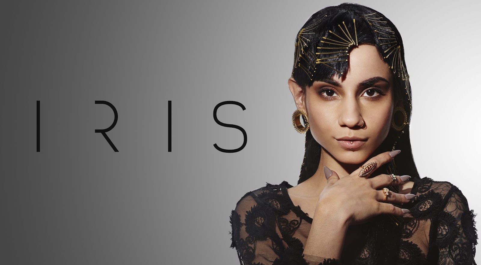 IRIS - a piercing studio, piercing studio in Chicago, IL