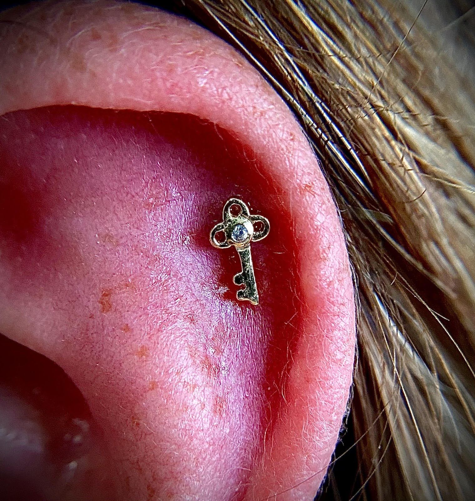 Symbiosis Body Piercing, piercing studio in Artesia, CA