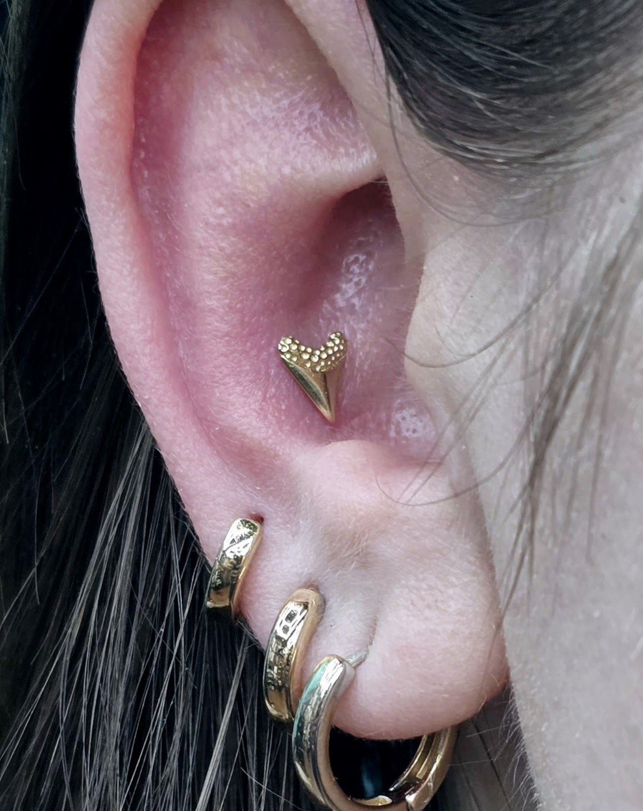 Stabbin cabin piercings and jewelry, piercing studio in Knoxville, TN