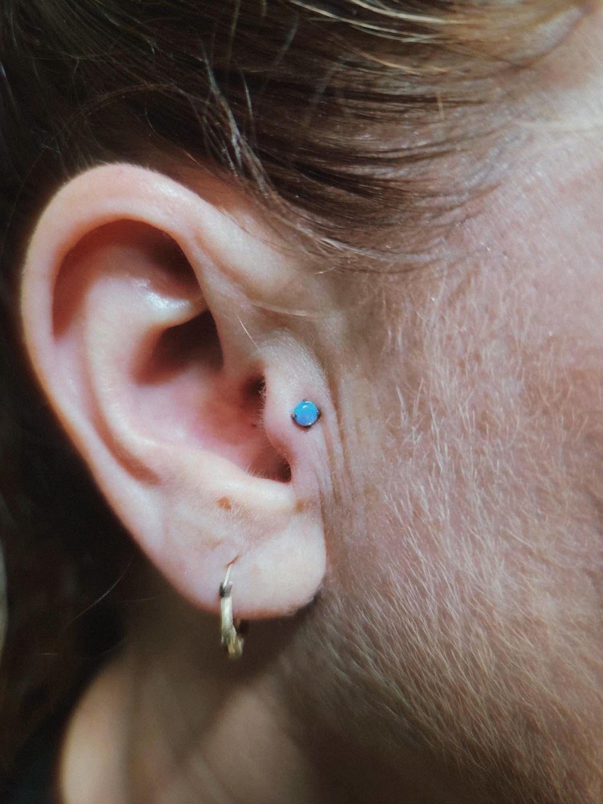 Piercings by Mama Lobez, piercing studio in Phoenix, AZ