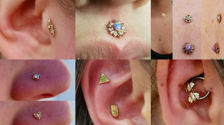 Bloom Body Art - Tampa, piercing studio in Tampa, FL