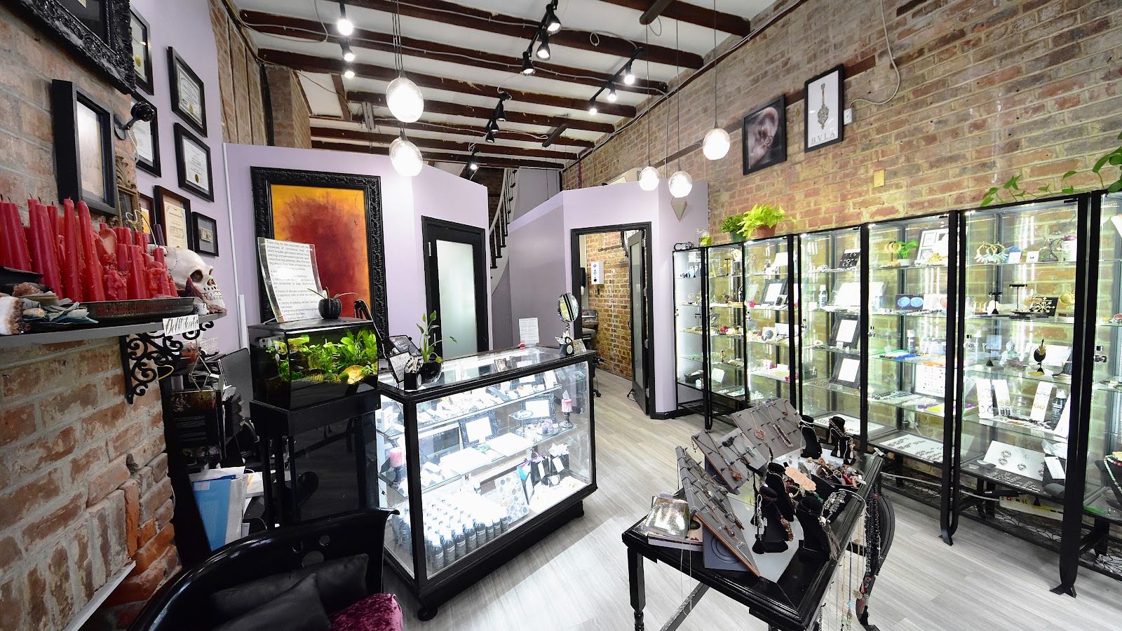 Diamond Eyez, piercing studio in New Orleans, LA