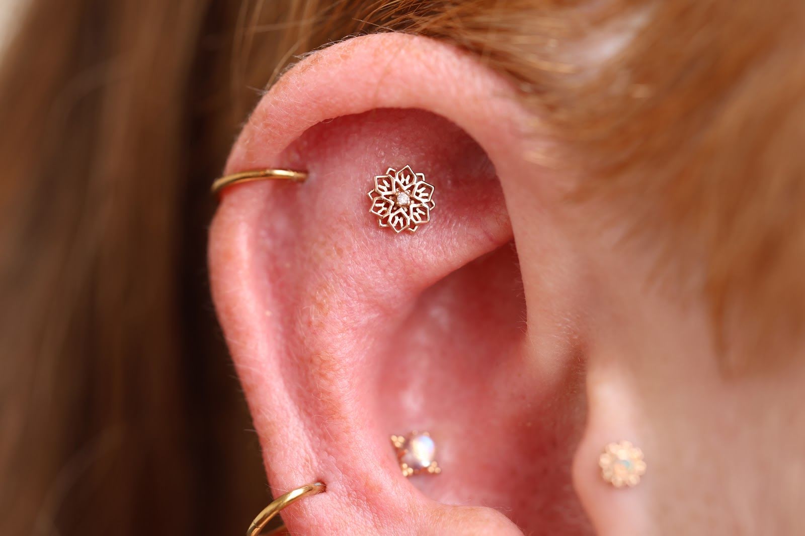 Full Circle Body Piercing LLC, piercing studio in Liberty, MO