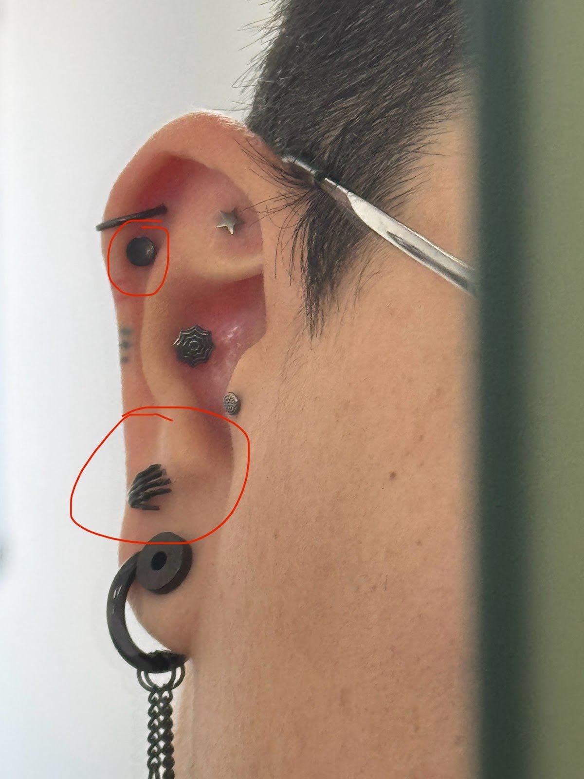 NeedleBug Piercings, piercing studio in St. George, UT