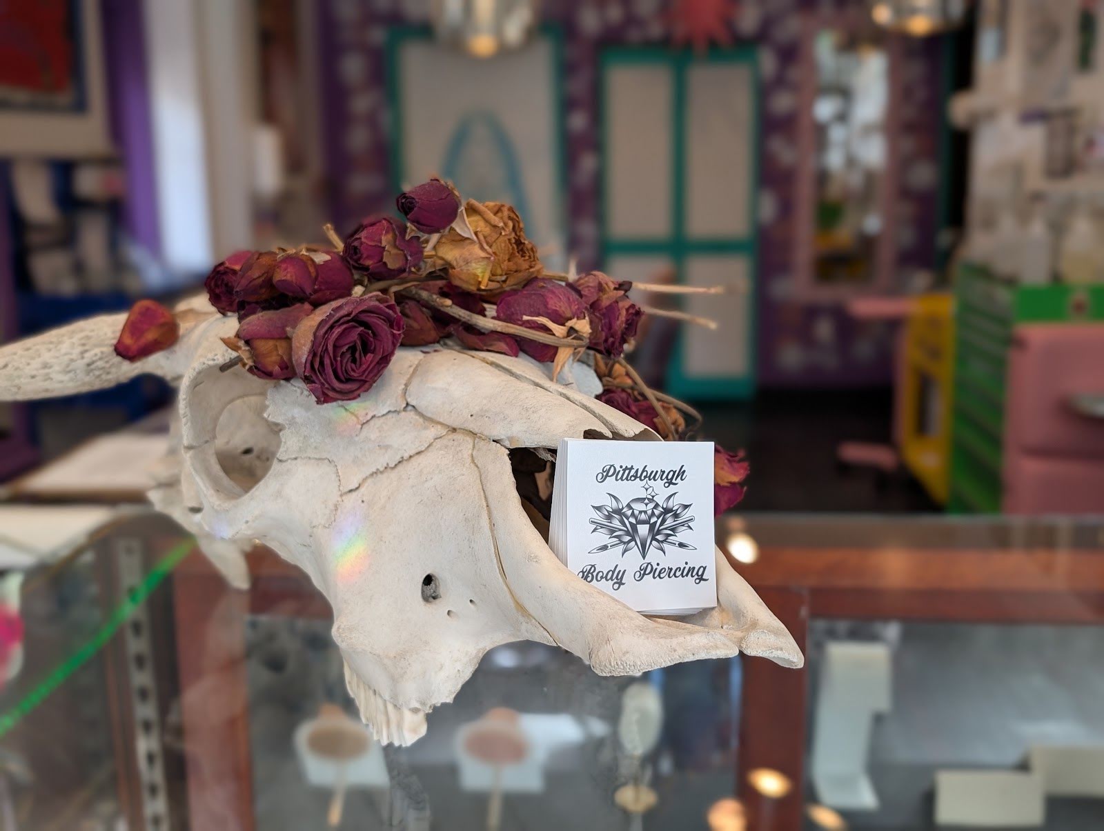 Pittsburgh Body Piercing, piercing studio in Pittsburgh, PA