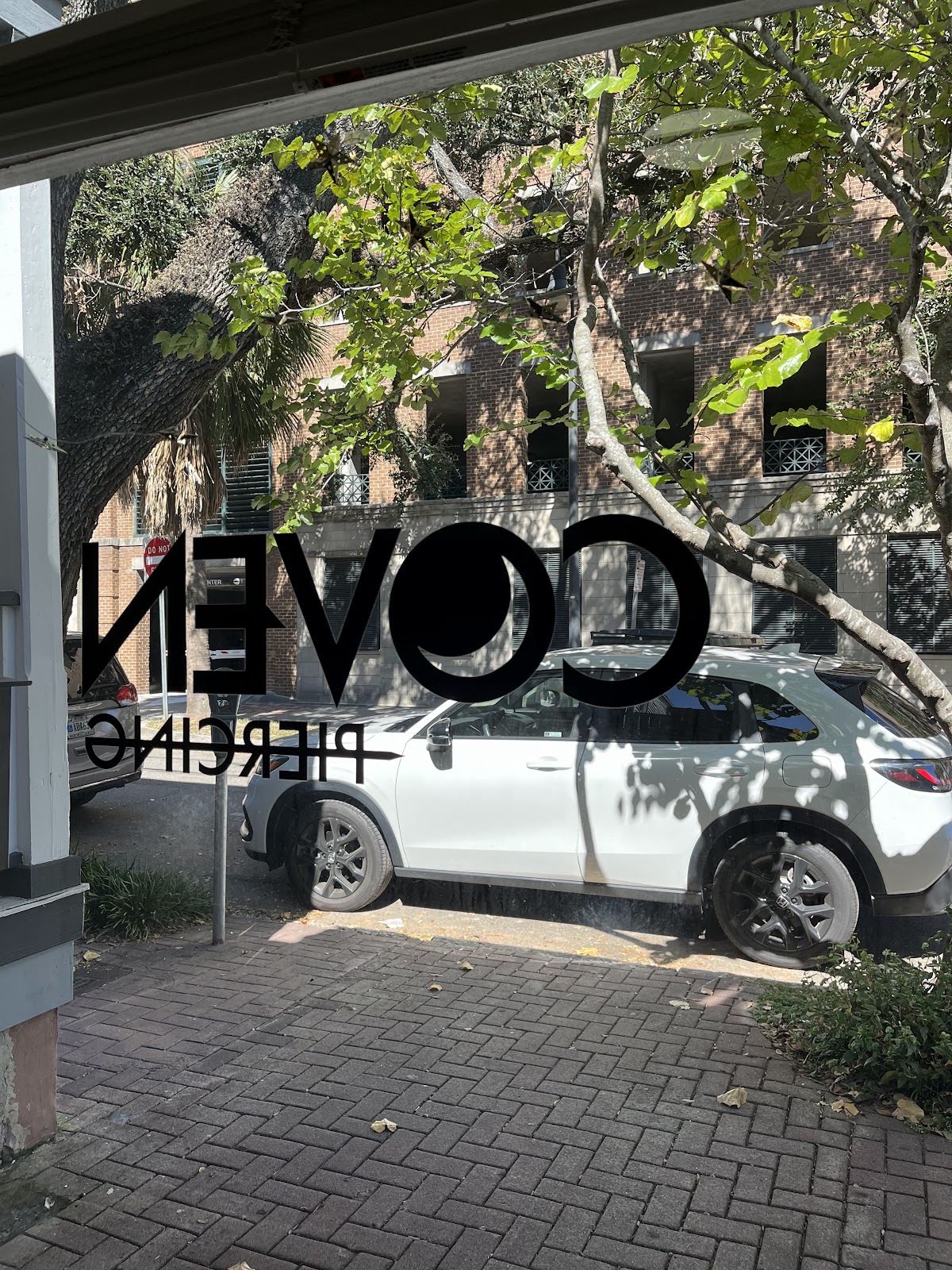 Coven Piercing, piercing studio in Savannah, GA