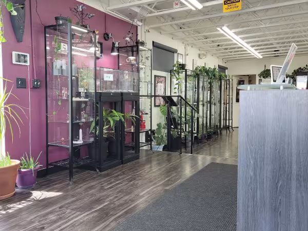 Piercing Vegas, piercing studio in Las Vegas, NV