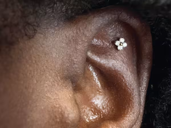 aura adornments boca, piercing studio in Boca Raton, FL