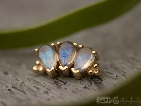 Meraki piercing studio, piercing studio in Stow, OH