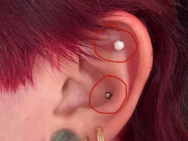 Timeless Piercings LLC, piercing studio in Kingsport, TN