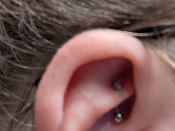 Olive Body Arts, piercing studio in Rochester, NY