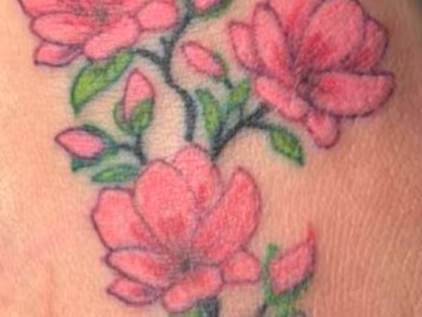 Big Mamma&rsquo;s Tattoo and Piercings, tattoo shop in Lima, OH