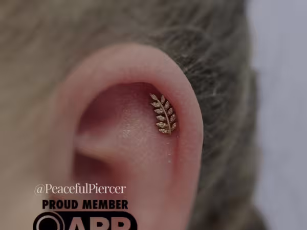 Peaceful Piercings and Fine Jewelry Boutique, piercing studio in Monroe, NC