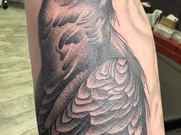 Heart & Dagger Tattoo, tattoo shop in Bloomingdale, NJ