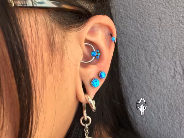Fox Labyrinth Body Piercing and Fine Jewelry, piercing studio in El Paso, TX