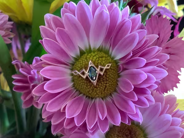 Alchemy Body Piercing, piercing studio in Lexington, KY