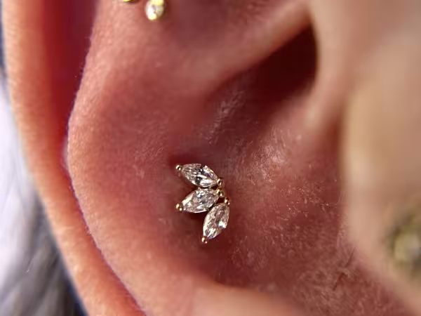Black Moon Piercing Hillsborough, piercing studio in Hillsborough Township, NJ