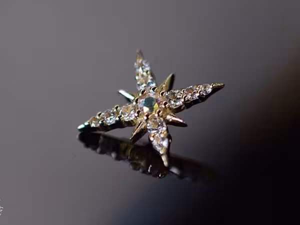 Athena Body Adornment, piercing studio in Pompano Beach, FL