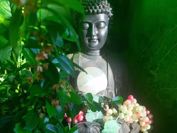 Sacred Alchemy Body Arts, piercing studio in Idaho Falls, ID