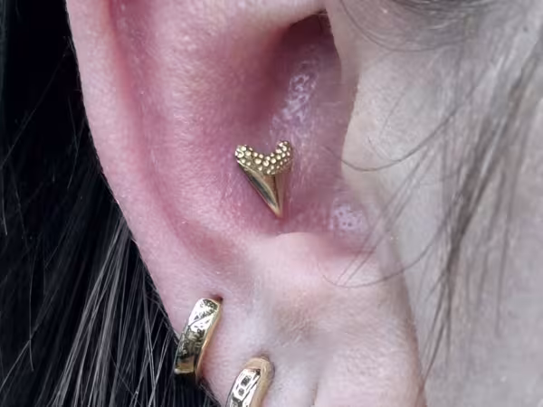 Stabbin cabin piercings and jewelry, piercing studio in Knoxville, TN