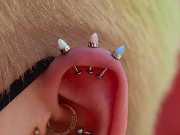 Nexus Body Arts, piercing studio in Seattle, WA