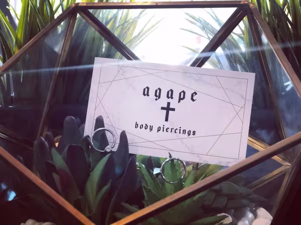 Agap&eacute; Body Piercings, piercing studio in Dover, DE