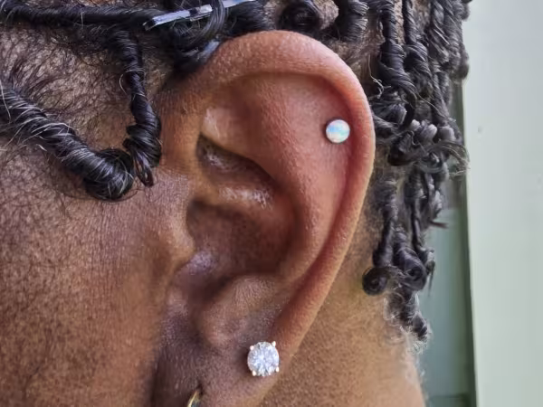 Apotheosis Piercing - Jackson, piercing studio in Jackson, MS