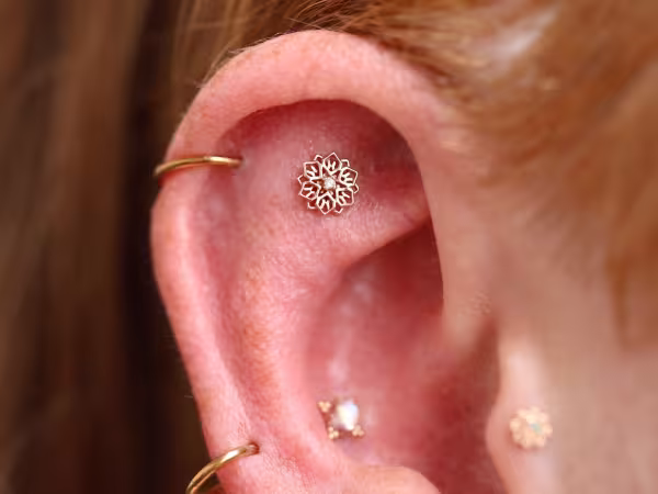 Full Circle Body Piercing LLC, piercing studio in Liberty, MO